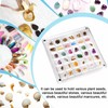 XIHIRCD Acrylic Magnetic Seashell Display Box, Clear Sea Shell Display