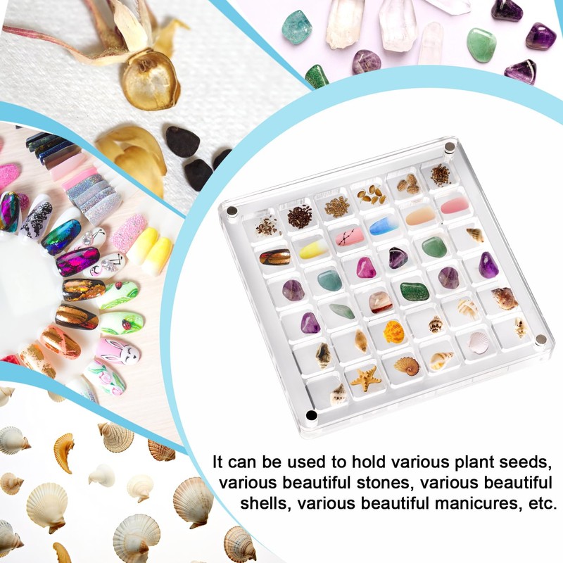 XIHIRCD Acrylic Magnetic Seashell Display Box, Clear Sea Shell Display