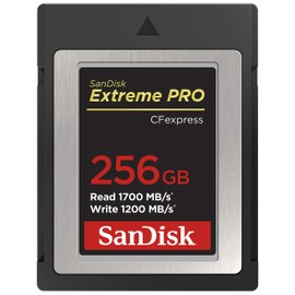 SanDisk 256GB Extreme PRO CFexpress Card Type B - SDCFE-256G-GN4IN