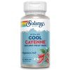 Solaray Extra Hot Cool Cayenne Pepper Supplement 90 Count Vegan