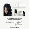 Selective Professional On Care Repair Balm 250 ml - Conditioner