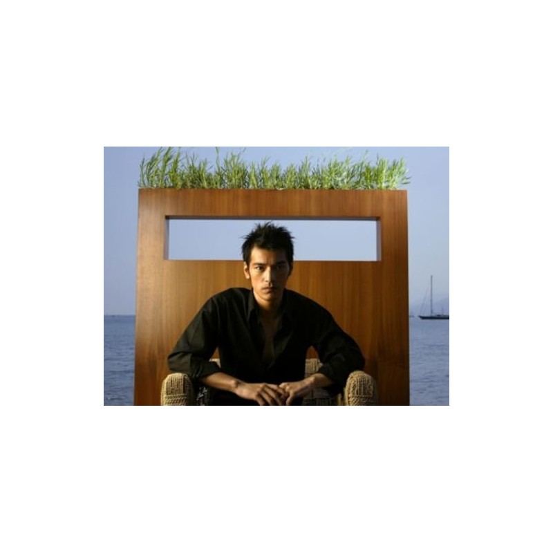 Takeshi Kaneshiro - 24X36 Poster Rare Perf #IDPP546311