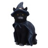 Nemesis Now Bewitching 18.5cm Resin Black Cat Figurine Black Cat