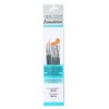 Winsor & Newton Foundation - Juego de Pinceles para Acuarela,
