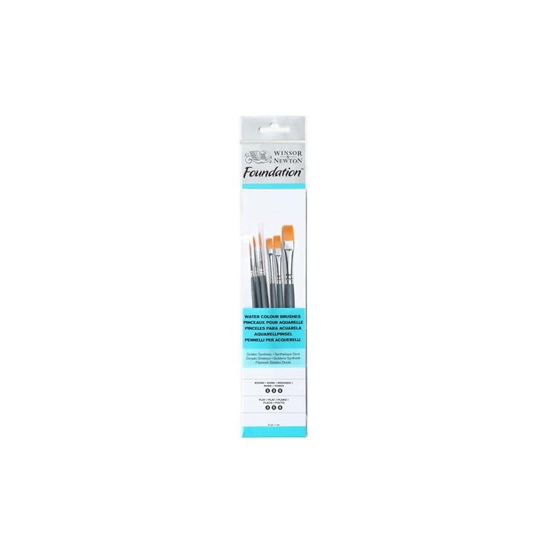 Winsor & Newton Foundation - Juego de Pinceles para Acuarela,
