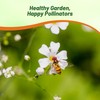 Outsidepride Gypsophila White Creeping Baby's Breath Seeds - 10000 Pcs.