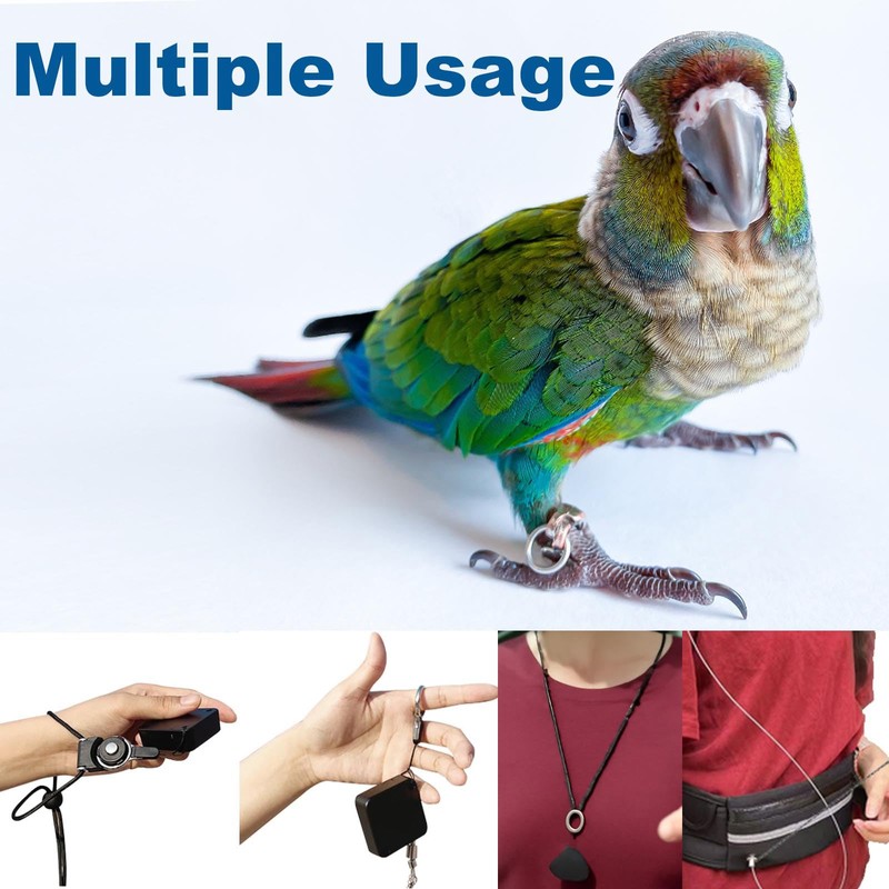 Hands-Free Bird Harnesses Suitable for Cycling and Driving Outdoors and