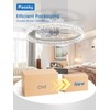 Passky 19.7” Low Profile Ceiling Fan with Lights and Remote,