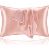 Pillowcase 2 Pack Silk Pillowcase for Women Men 48X74cm Soft