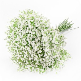 DEEMEI Artificial Baby Breath Bouquets Gypsophila Flowers Real Touch Faux Baby‘s Breath Flowers for Wedding Floral Arrangement Party Home Decoration - Color: White, Specification: 6 PCS