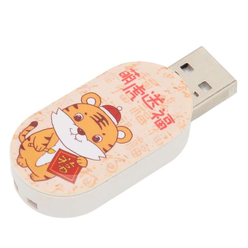 Flash Drive USB Interface Electronic Storage Media Hot Swap Cute