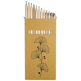 Azeeda 12 x 'Ginkgo Biloba Leaf' Long 178mm Coloured Pencils/Pencil Set (PE00063861)