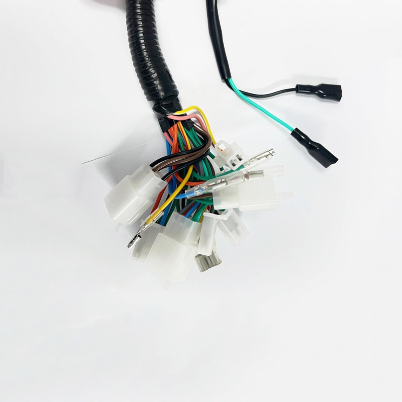 TDR Wire Harness Control Switch Z50 Monkey Bike 50cc Gorilla