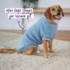 Kazoo Button Up Knit Dog Jumper, Blue, X-Small