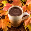 Double Donut Pumpkin Spice Hot Chocolate Mix Packets, Flavored Pumpkin
