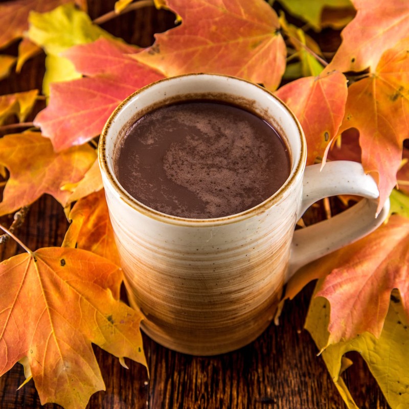 Double Donut Pumpkin Spice Hot Chocolate Mix Packets, Flavored Pumpkin
