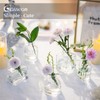 Glasseam Mini Bud Vases for Centerpieces: Clear Small Flower Vase