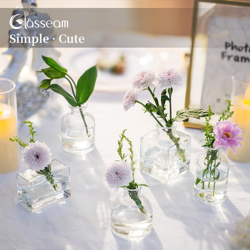 Glasseam Mini Bud Vases for Centerpieces: Clear Small Flower Vase