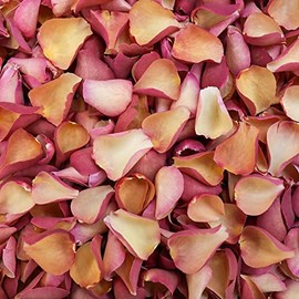 Petals and Roses Freeze Dried Rose Petal Confetti | Natural & Biodegradable for Weddings, Caramel Gold, 1 Litre