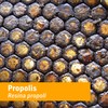 Herb Pharm Propolis Liquid Extract for Immune System Support -