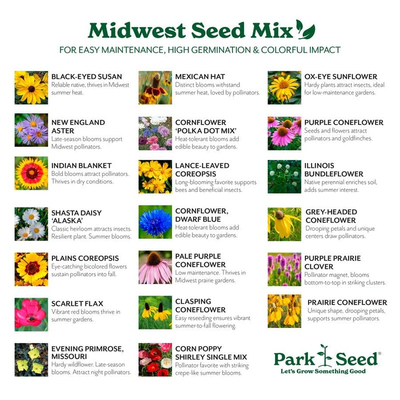 Park Seed Grow Your Own Vibrant Annual and Perennial Wildflower