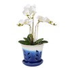 vensovo 5.5 Inch Ceramic Orchid Pot - Orchid Pot with