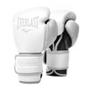 Everlast Powerlock 2 Hook & Loop Boxing Gloves | Fight