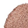 Tea Zone 1.1 lb Iced Coffee Mix
