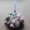 Shells Mixed, Natural Shells, Beach Shells, Craft Shells, Decorative Shells,