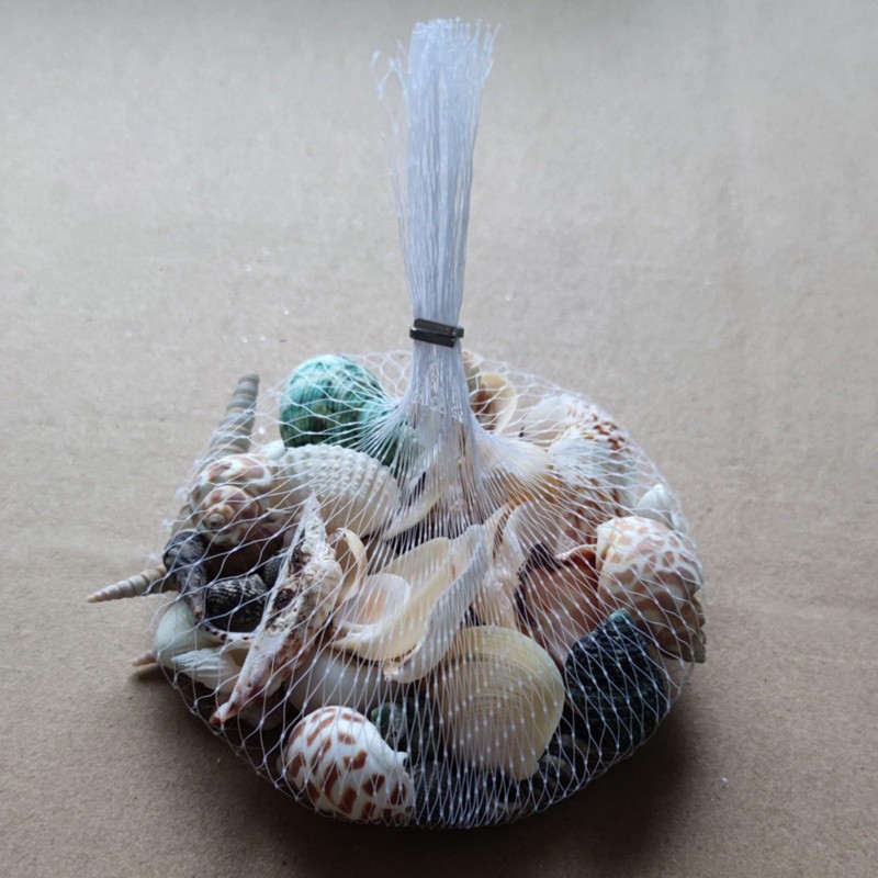Shells Mixed, Natural Shells, Beach Shells, Craft Shells, Decorative Shells,