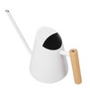 Watering Can with Long Spout Rustproof Stainless Steel Watering Pot