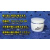 Tachikawa TIR Nib Ink Remover White