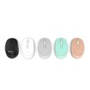 INCA IWM-243RG Candy Design Wireless Mouse, 2.4GHz Wireless, Auto Sleep