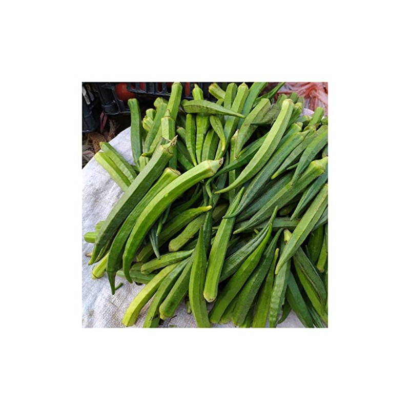 Everwilde Farms - 1/4 Lb Organic Perkins Long Pod Okra
