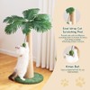 TSCOMON 43 Inches Tall Cat Scratching Post for Large Cat,