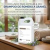 Shampoo Vegano de Romero a Granel Profesional 1 Galón (3.8