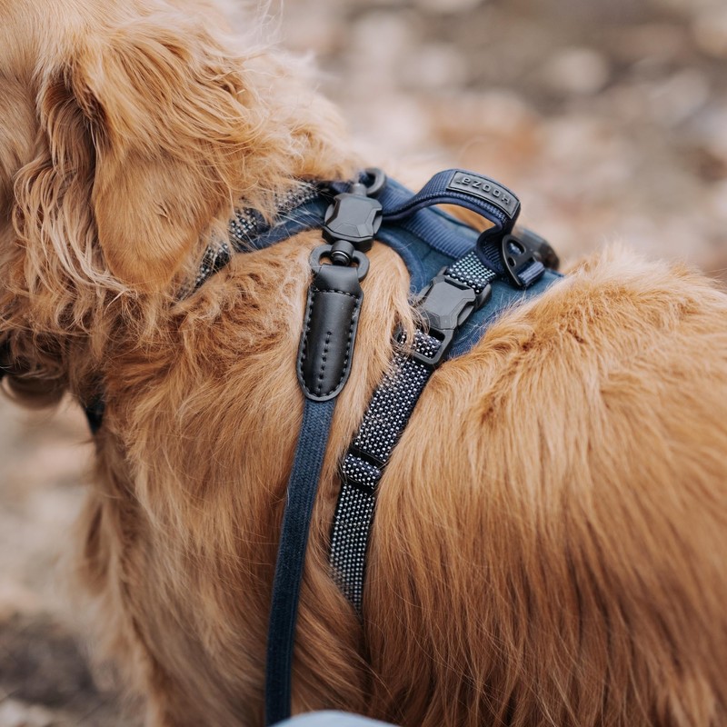 HOOZA: Magnetic Quick Clip: Control Harness - Blue, Small -