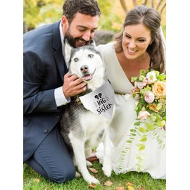 HDGDT Big Sister Dog Bandana Collar, Pregnancy Announcement Dog Bandana, Strong D-Ring for Easy Leash Attached Gender Reveal Dog Bandana, Adjustable Dog Collar with Quick Release Buckle for Dogs Cats