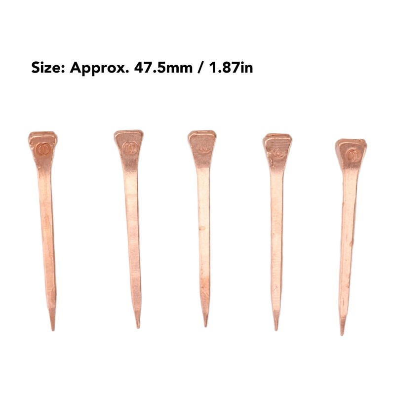 250Pcs Horseshoe Nails Copper Plated Rustproof Equestrian Riding Equipment Pet
