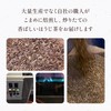 Sanrokuen Kumamoto Roasted Roasted Tea Bag, 0.1 oz (2.5 g)