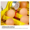 Adir Incubadora 48 Huevos Pollos Y Aves Con Giro Automatico