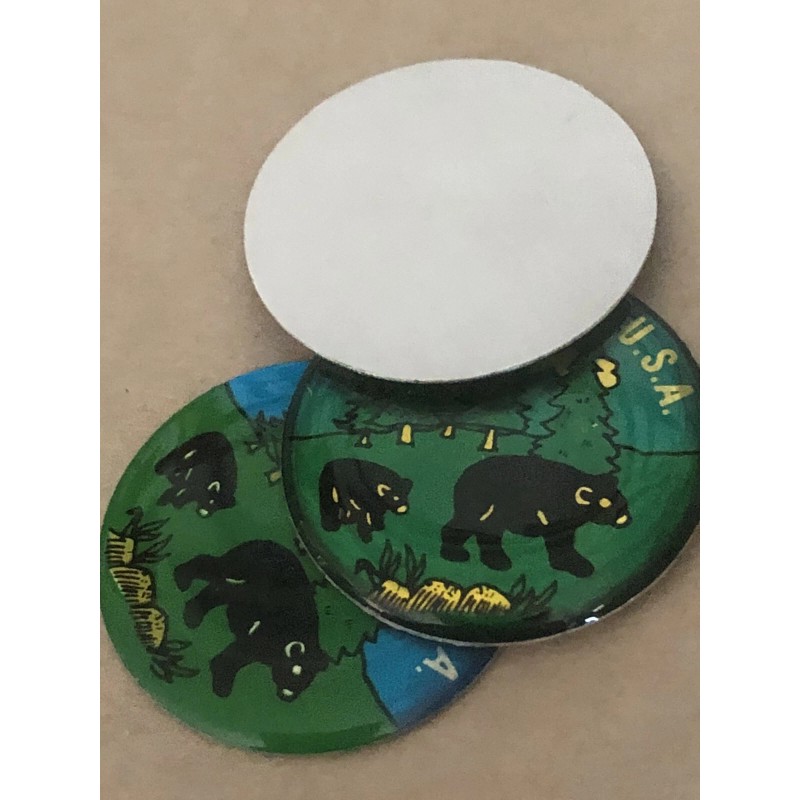 Bear Country USA Sticker