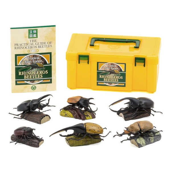 Carolata 3D Picture Book, Real Figure Box (Beetle / 6 Types), Rainaceras Beetle (Instructions Included)