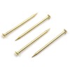Design61 100x Steel Pins Steel Nails Skirting Board Pins Nail