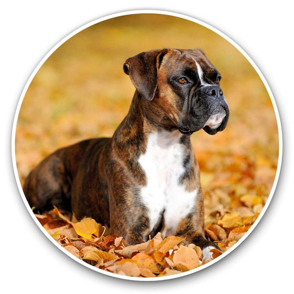 2 x Heart Stickers 10 cm - Boxer Puppy Autumn