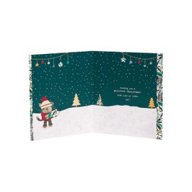 Boofle From The Cat Cute Best Fishes Christmas Greeting Card