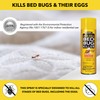 Harris Bed Bug and Egg Killer, 16oz Aerosol Spray |
