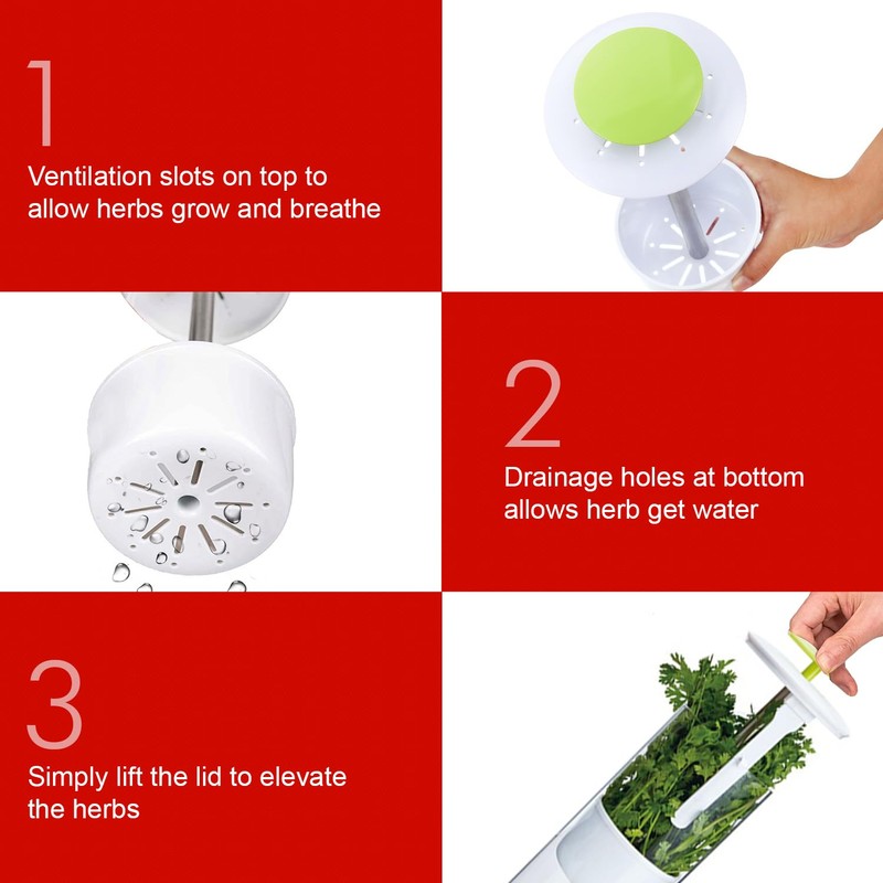 TechTack Herb Keeper and Herb Saver – Premium Borosilicate Glass