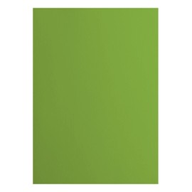 Florence Cardstock Smooth - Coloured Card Making Supplies A4 - Green - 10 Sheets - Coloured Paper for Scrapbooking, Card Making, Die Cutting and Paper Crafts - 216 GSM - Frog