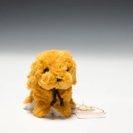 Candy Fontaine Golden Retriever